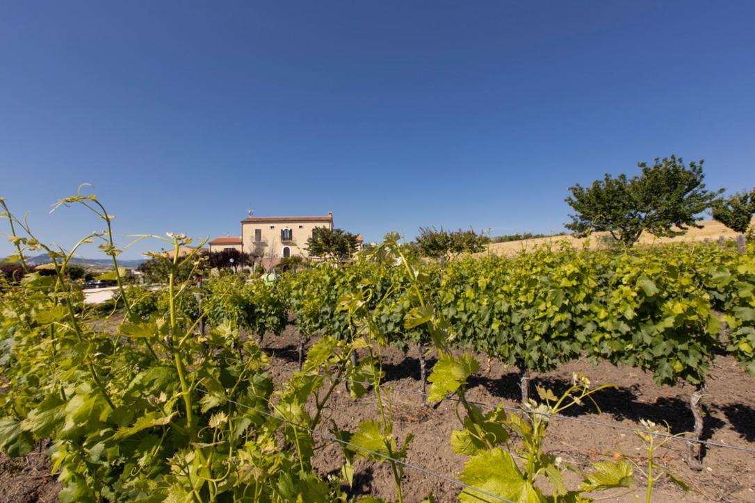 Masseria Grande Montecilfone ภายนอก รูปภาพ